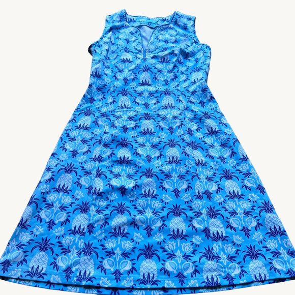 J. McLaughlin Size XS Blue Rue Pineapple Print Sleeveless Split Neck Shift Dress - Picture 1 of 13